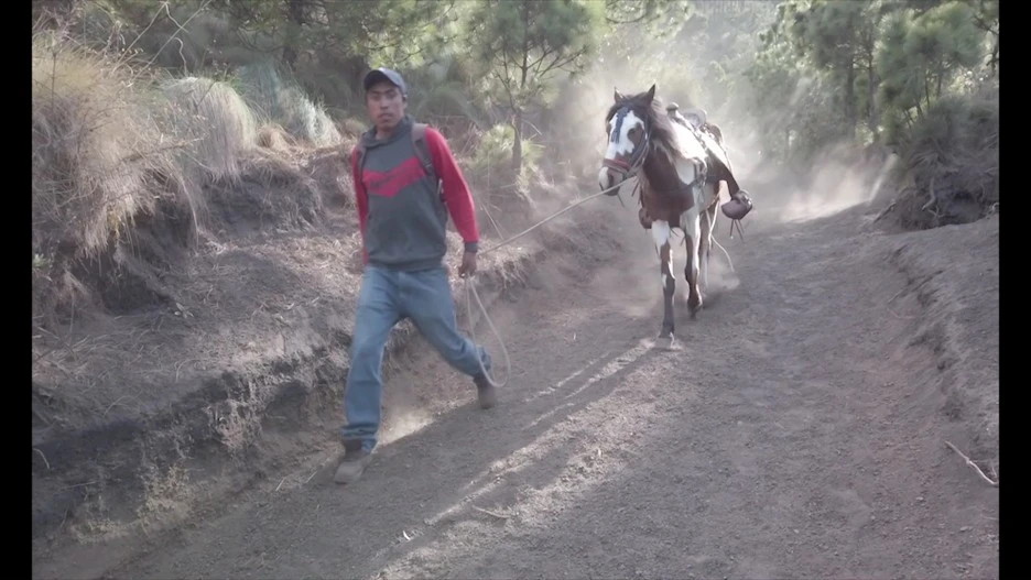 %ED%91%B8%EC%97%90%EA%B3%A01(007979)2020-04-30-16-37-53.JPG?type=w1