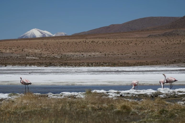 DSC04405.JPG?type=w773