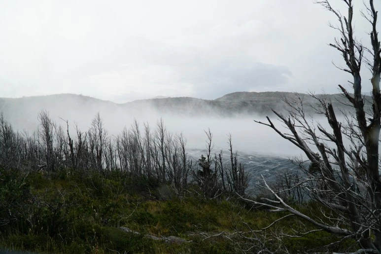 %ED%81%AC%EA%B8%B0%EB%B3%80%ED%99%98DSC05565.JPG?type=w773