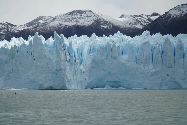 WDWV0389.JPG?type=w773