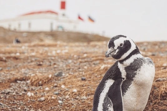 C39EB796-EC9F-45D9-A242-FA4345C4846C.jpg?type=w773