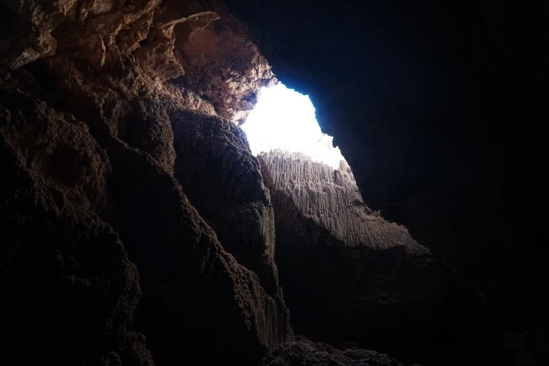 DSC04915.JPG?type=w773