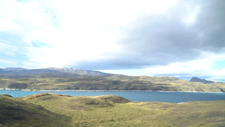 chile(003589)2020-11-06-15-03-53.JPG?type=w773