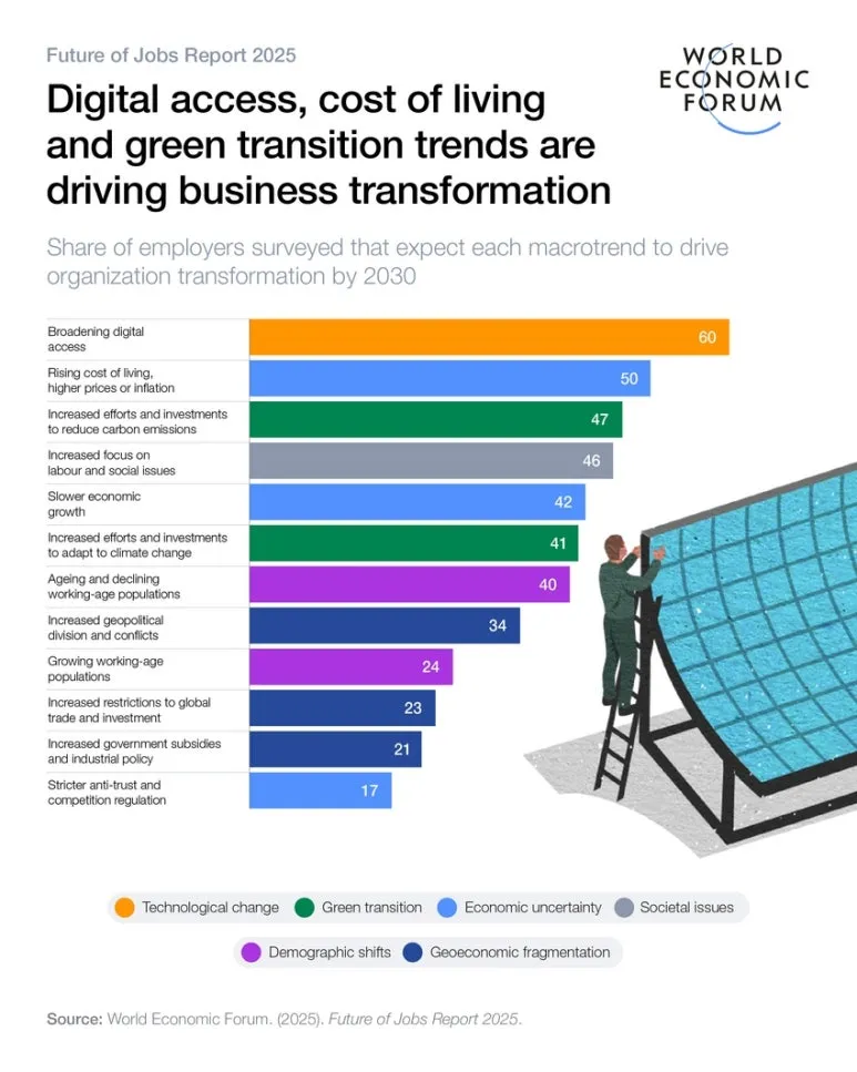 responsive_large_webp_JxIcCoeH_USb7nW7d9ZAKGcdA93E_c5OZA_-WDzebps_(1).jpg?type=w773