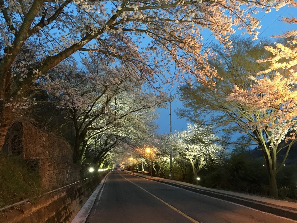 KakaoTalk_20220722_094031832_01.jpg?type=w966