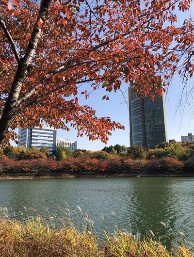 SE-2205d9fb-3593-4411-9441-ffb7c87b76ca.png?type=w773