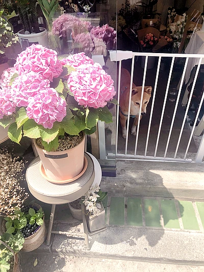 SE-af425f47-e150-4083-85d8-d5437e049d45.jpg?type=w773