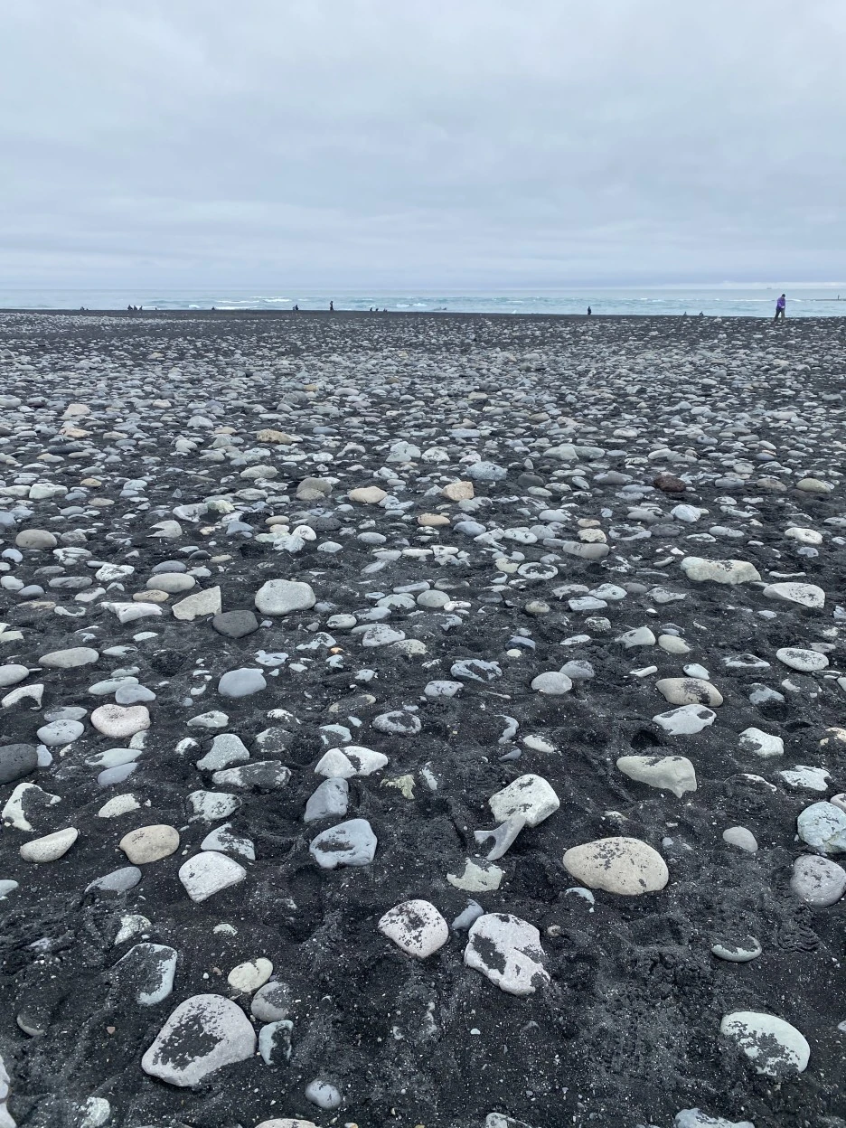 KakaoTalk_20230829_144038557.jpg?type=w1