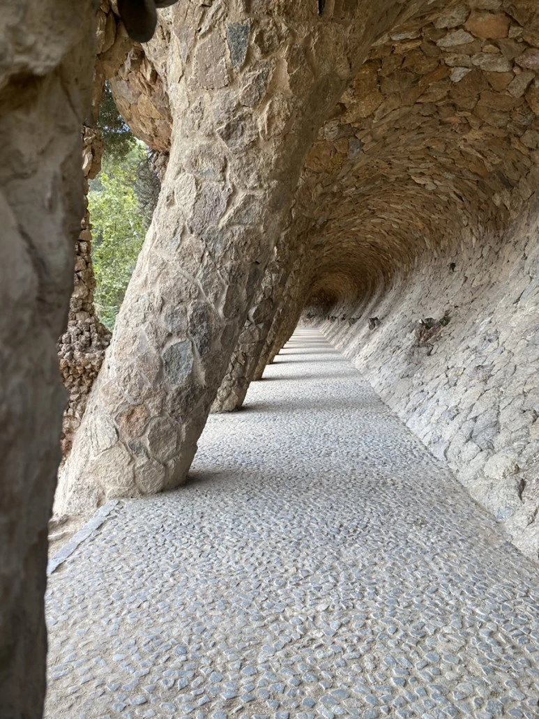 IMG_3119.JPG?type=w773