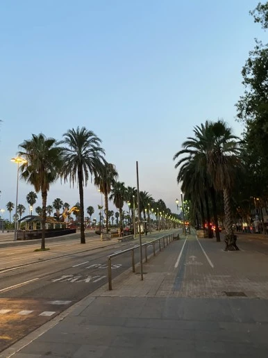 IMG_3262.JPG?type=w386