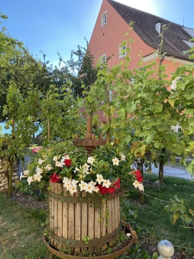 IMG_2558.JPG?type=w386