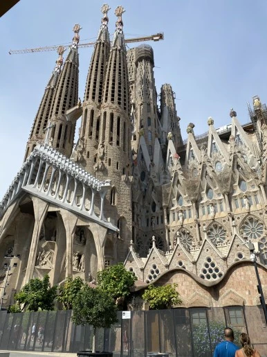 IMG_3247.JPG?type=w386