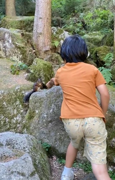 SE-36FD36AC-2102-4C12-A025-62F5F5D246A7.jpg?type=w386