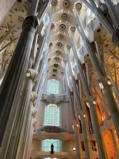 IMG_3203.JPG?type=w386