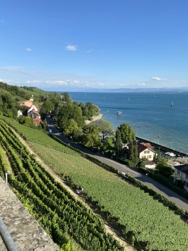 IMG_2569.JPG?type=w386