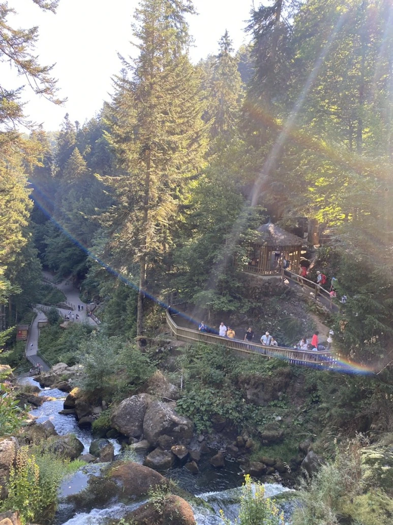 IMG_1935.JPG?type=w773