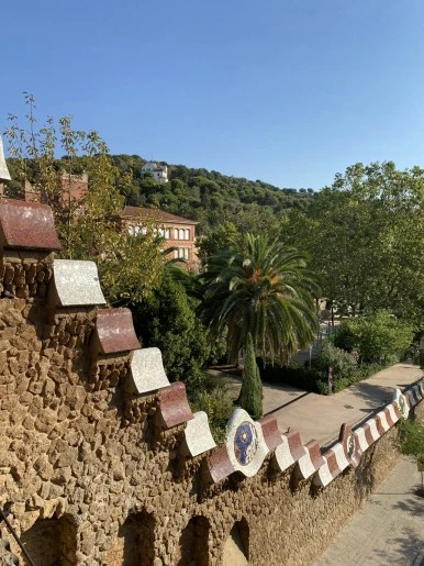 IMG_3072.JPG?type=w386