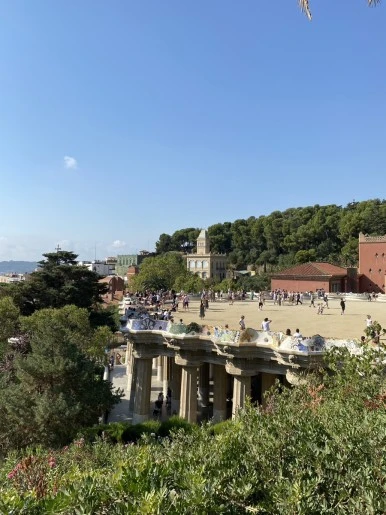 IMG_3085.JPG?type=w386