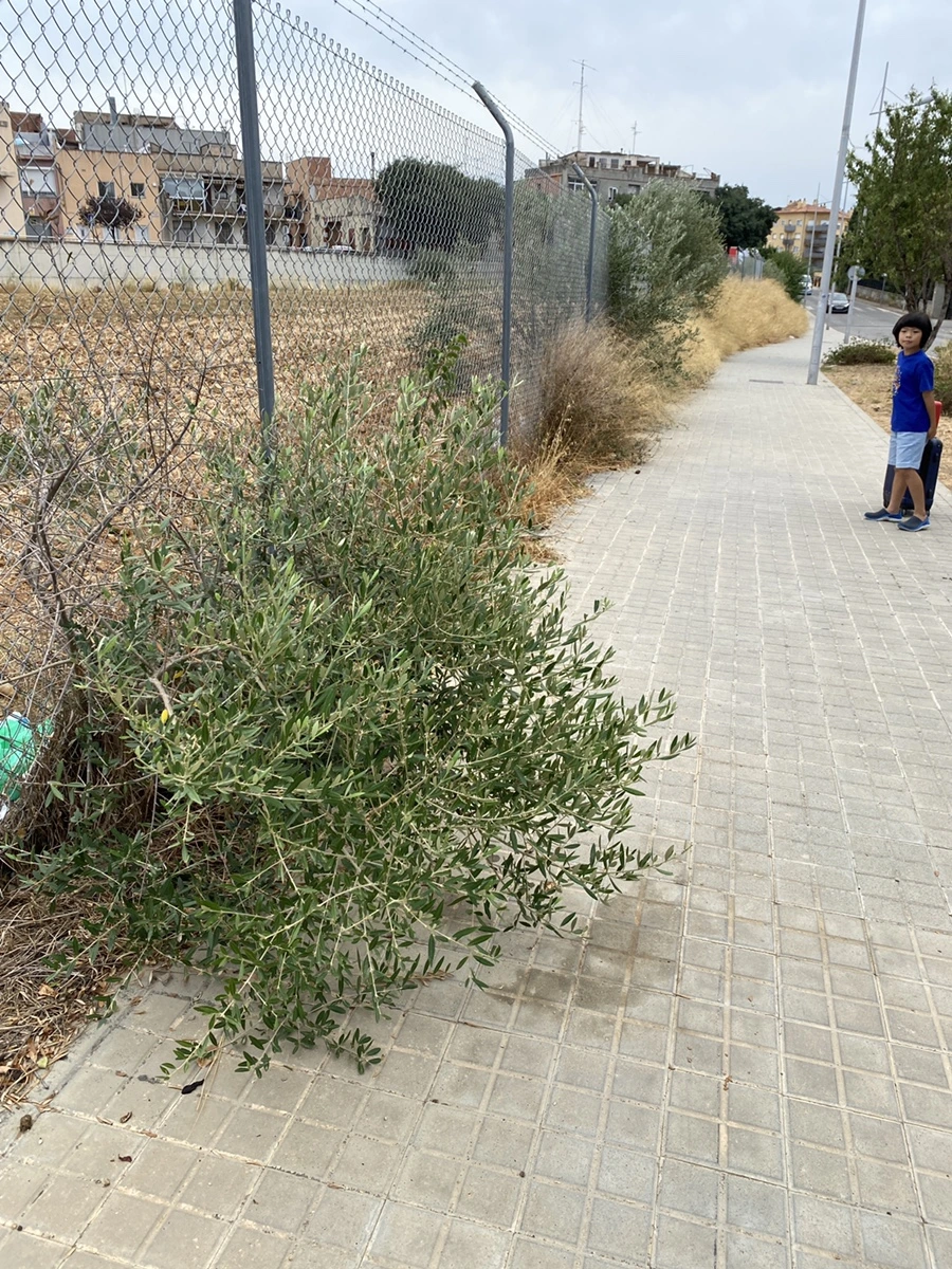 IMG_3474.JPG?type=w1