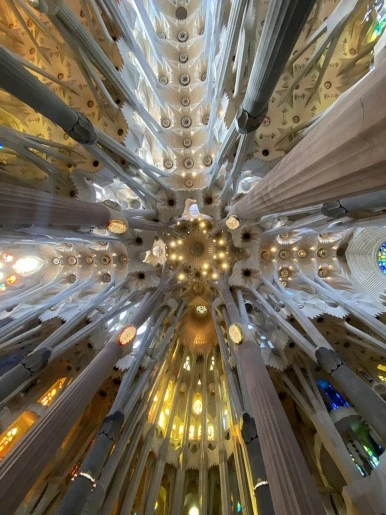 IMG_3205.JPG?type=w386