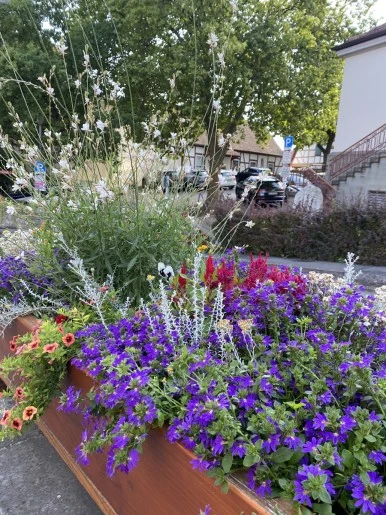 IMG_2491.JPG?type=w386