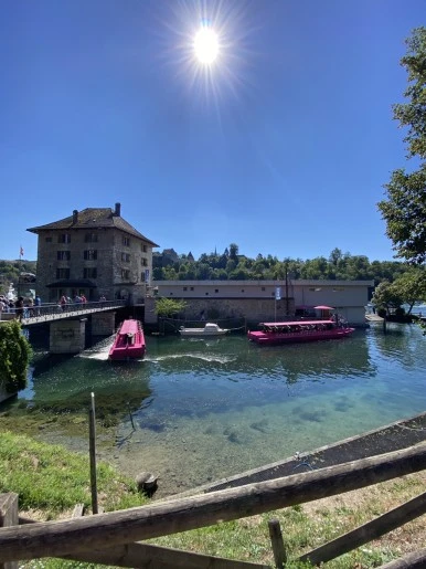 IMG_2264.JPG?type=w386