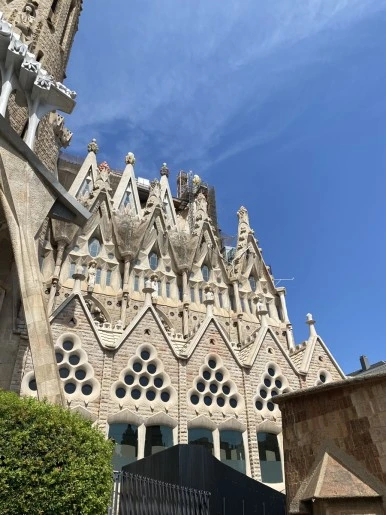 IMG_3242.JPG?type=w386