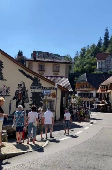 SE-C2323952-71A9-467F-93A1-A0885599D6F1.jpg?type=w386