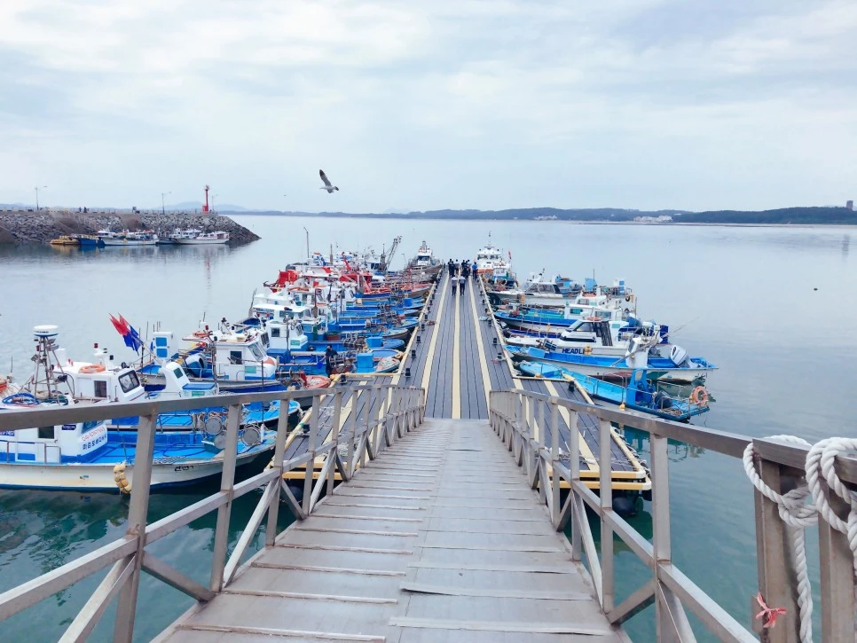 IMG_3247.JPG?type=w966