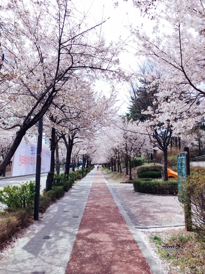 SE-283c28c8-a9fd-4932-8bf9-8f1294e95690.jpg?type=w966