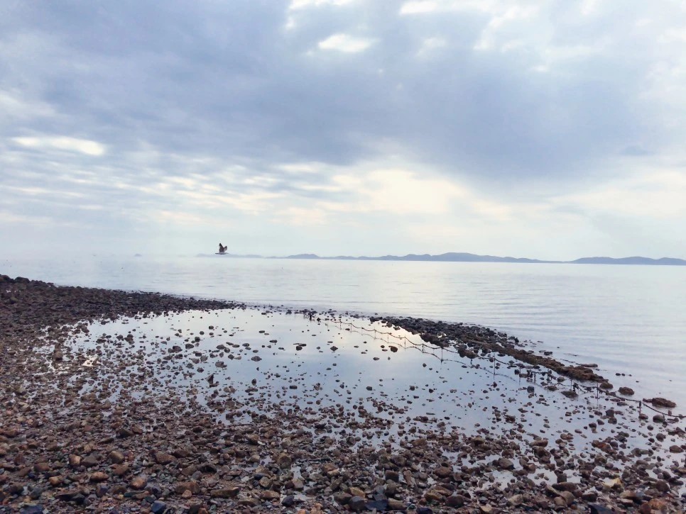 IMG_3254.JPG?type=w966