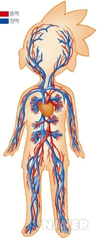 208_i1.jpg?type=m520&wm=Y