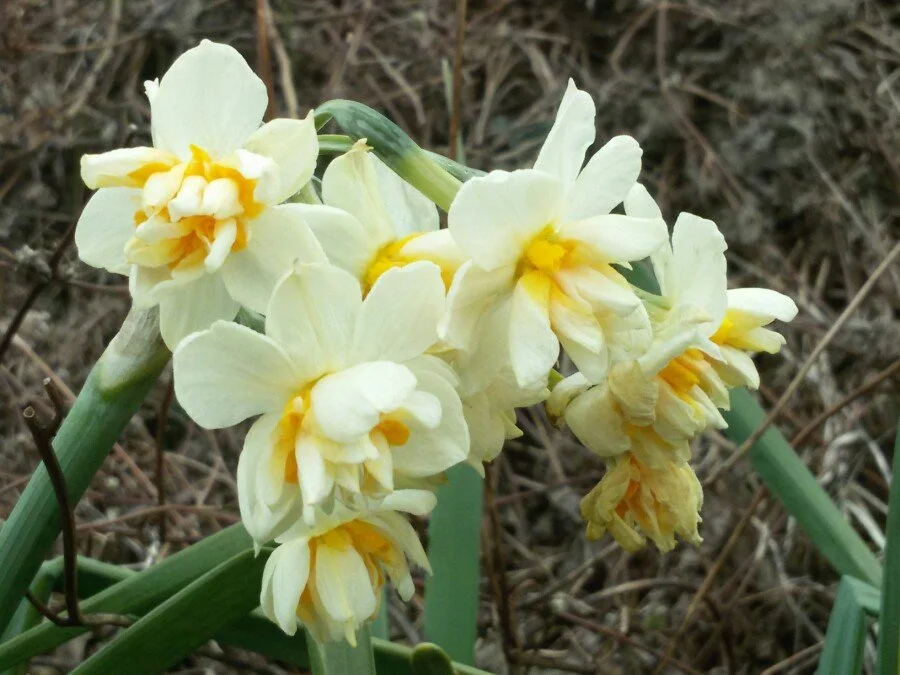 20180222_124120.jpg?type=w1200