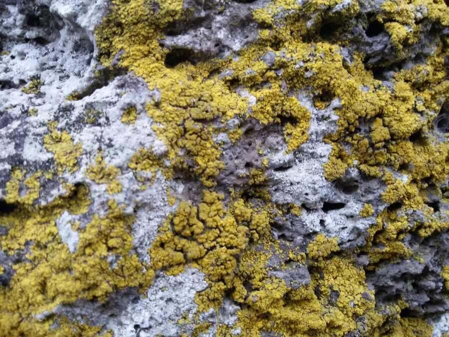 20180218_161624.jpg?type=w1200