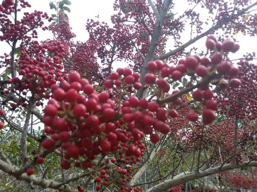 20180223_131124.jpg?type=w1200