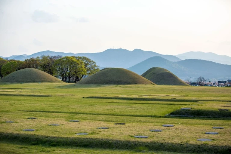 다운로드 (16).jfif