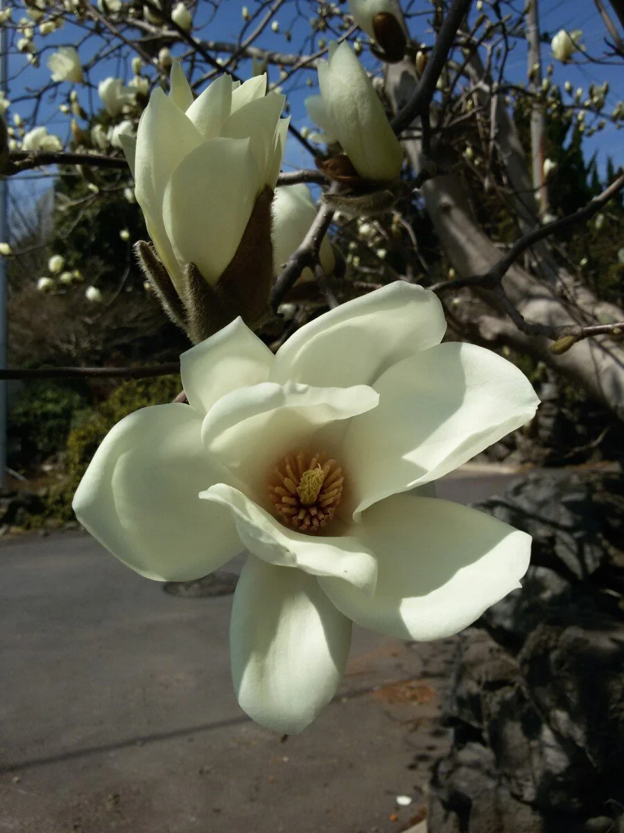 20180312_130213.jpg?type=w1200