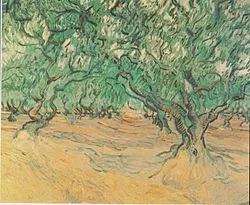 250px-Van_Gogh_-_Olivenb%C3%A4ume.jpeg