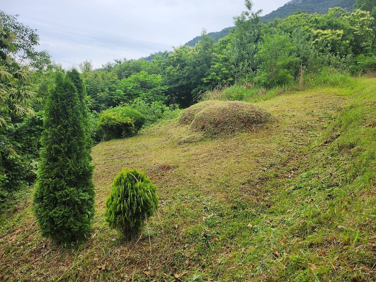 다운로드 (17).jfif