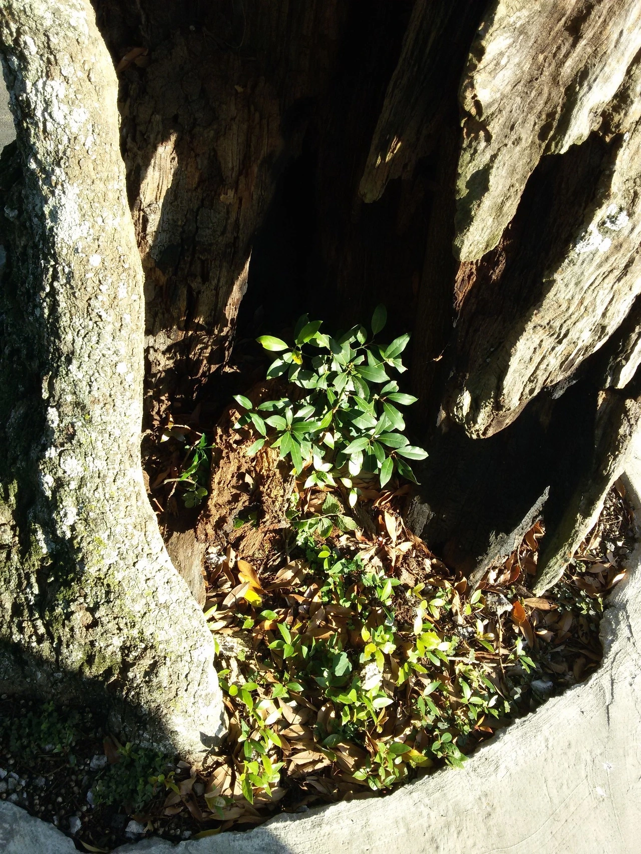 다운로드 (1).jfif