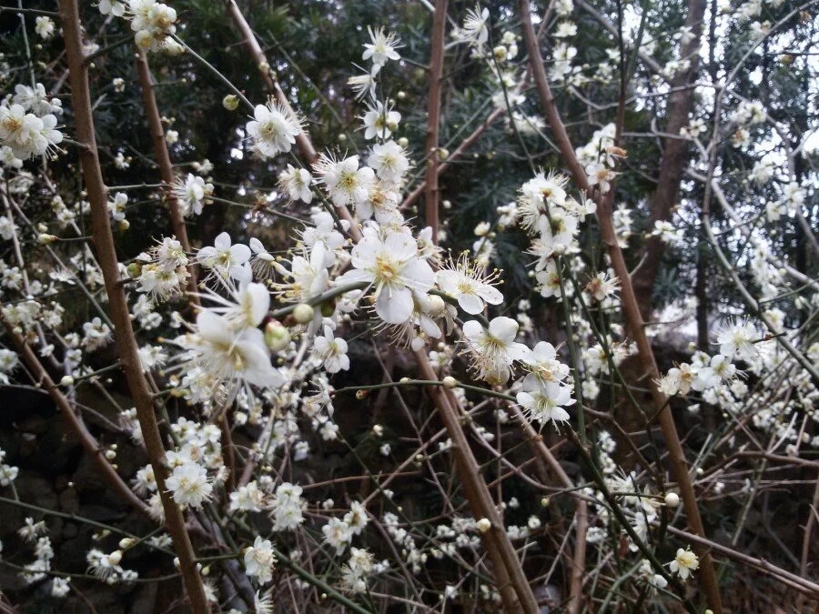 20180219_125031.jpg?type=w1200