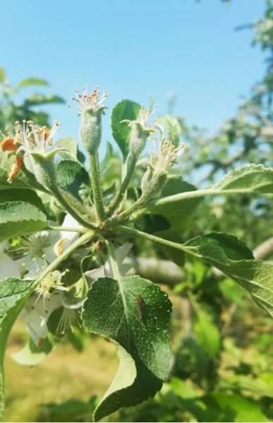 29101832_1098611073613879_837671776958808064_n.jpg?type=w1200