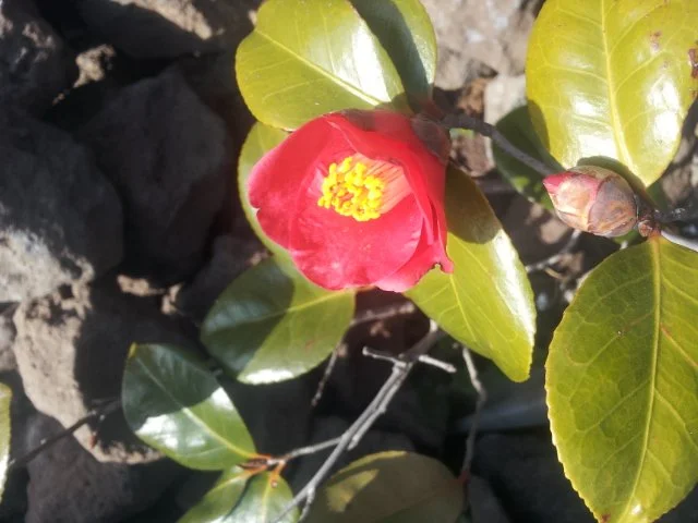 000-56.jpg?type=w1200