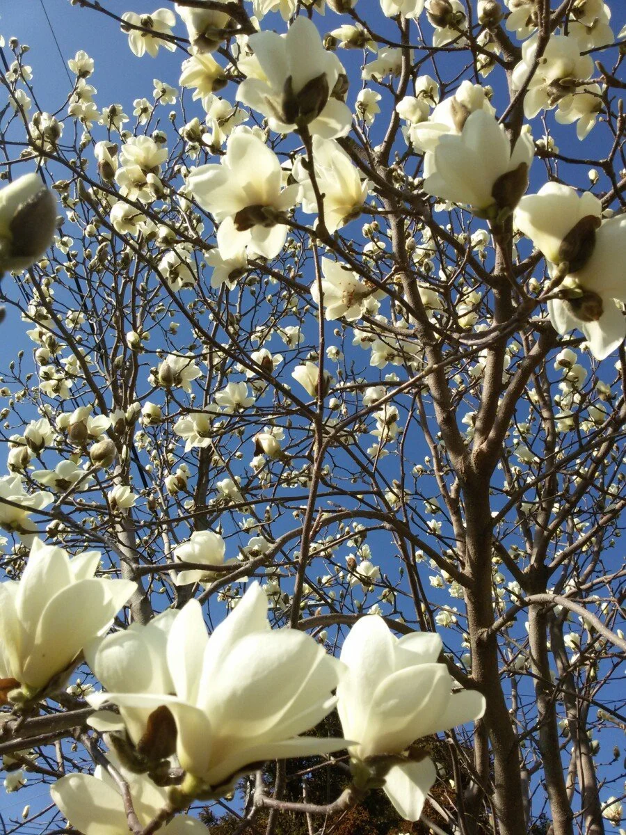 20180312_161304.jpg?type=w1200