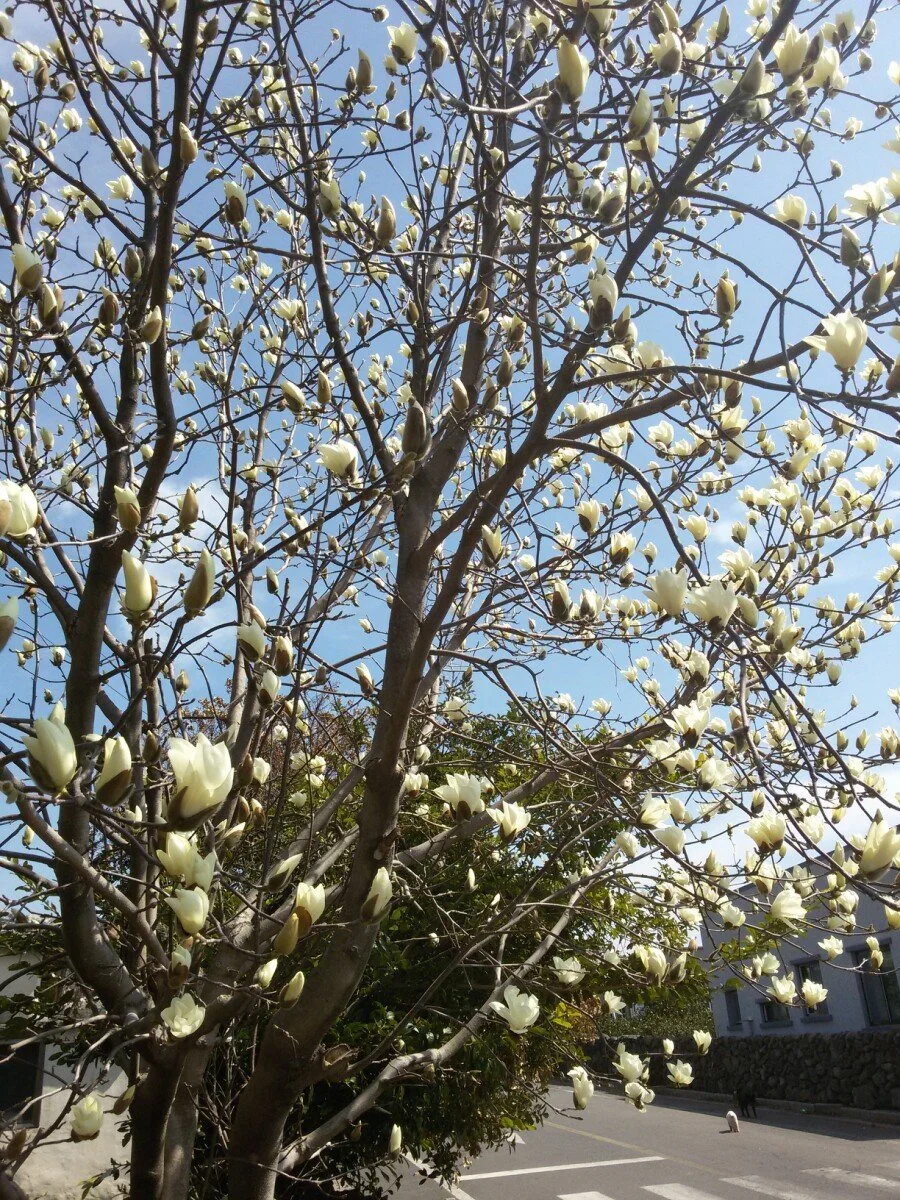 20180312_130131.jpg?type=w1200