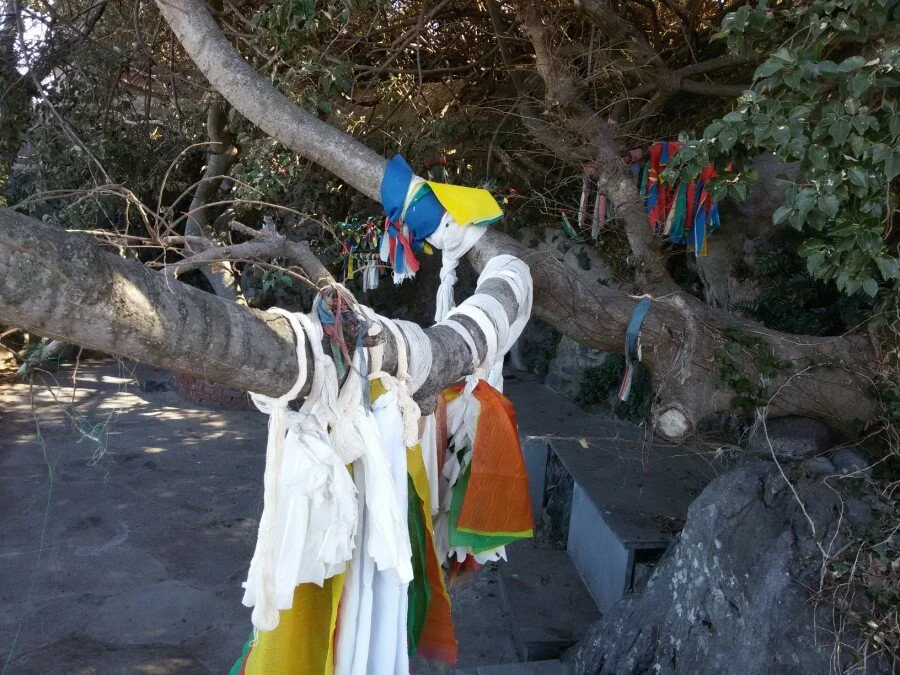 20180217_135337.jpg?type=w1200