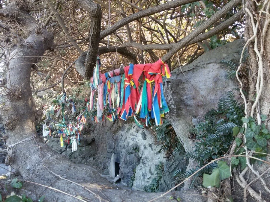 20180217_135141.jpg?type=w1200