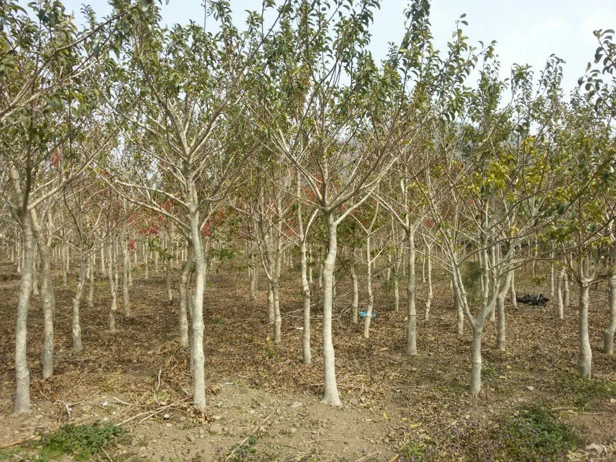 20180223_130931.jpg?type=w1200