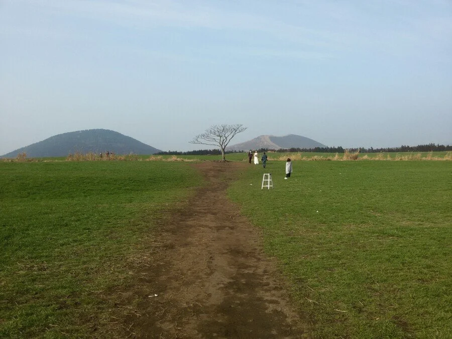 20180311_163334.jpg?type=w1200