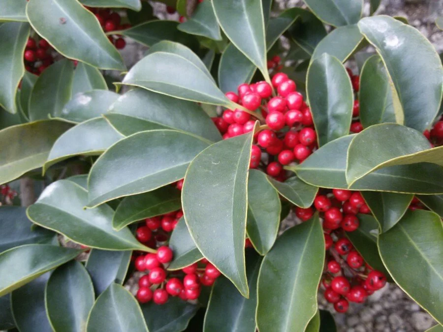 20180223_113606.jpg?type=w1200